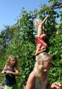 Kids in the garden